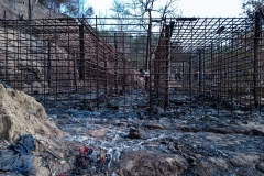 Myanmar Junta Airstrike Kills Over 100 of Its Own Captured Troops in Rakhine State