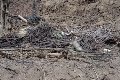 Myanmar Junta Airstrike Kills Over 100 of Its Own Captured Troops in Rakhine State