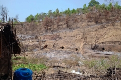 Myanmar Junta Airstrike Kills Over 100 of Its Own Captured Troops in Rakhine State