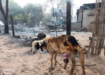 Hundreds flee to forests as military raid leaves village in ashes