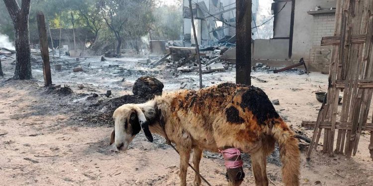 Hundreds flee to forests as military raid leaves village in ashes