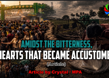 AMIDST THE BITTERNESS, HEARTS THAT BECAME ACCUSTOMED