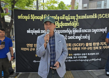 Seoul University Professor Stands with Myanmar Resistance