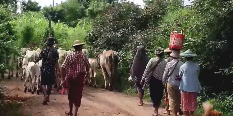 Key Highway and Chindwin River Routes Shut Down Amid Fierce Fighting in Kani
