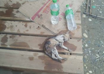 Retreating Junta Troops Leave Poisoned Water Bottles in Sagaing Village, Resistance Forces Reveal